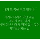 교촌 태양광발전소 이미지