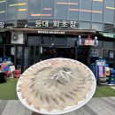 인정상회 이미지