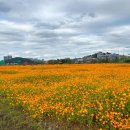 기흥호수공원 이미지