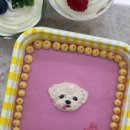 우신동물병원 | 켈리스펫(코리아펫)아카데미 펫푸드 창업반 수강 후기 내돈내산