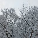 명동산장펜션 이미지