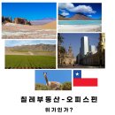 화산홍어 이미지
