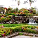 일출랜드식물원 이미지