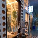 [오산 카페 누군가에게] 귀여운 곰돌이 디저트와 식물데코로 힐링공간 완성! 세마역 근처 카페