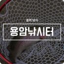 양주 용암낚시터 송어낚시 도전! 그리고 처음 맛본 송어 후기♪