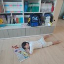 미사 어린이서점 하남점에서 새책구입했어요 내돈내산 거금후기