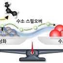 백금산업 이미지
