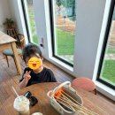 테마와 하루(목장 체험) | 제주 목장카페 밭디 : 6살 딸과 처음 해본 제주 승마체험 후기 (내돈내산)