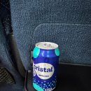 호텔 아르떼 | 칸쿤 올인클루시브 호텔 스칼렛아르떼 예약 가격 스위트가든 후기