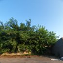 한국전력공사 담장 이미지