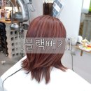 일로헤어 이미지