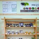라파플러스광주