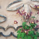 뜰가득한 이미지