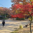 황골공원 농구장