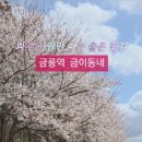 금릉역길 이미지