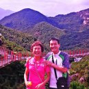 경남거창 항노화힐링랜드Y자형출렁다리 (우두산 출렁다리) 이미지