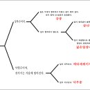 낙우송 이미지