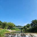 강촌출렁다리 | 강촌 남산면 계곡 출렁다리공원, 한적하고 얕은 강촌역 근처 계곡!