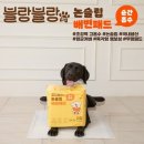 어센틱브랜즈 이미지