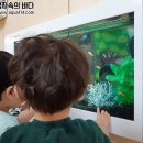 구립다온어린이집 이미지