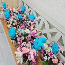 운유초병설유치원 이미지