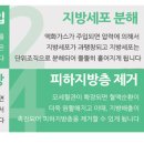 오렌지나무의원 이미지