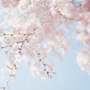 홍프로짐 이미지