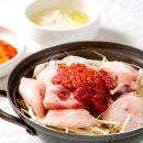 싱글벙글복어 이미지