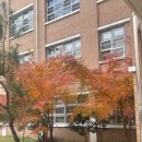 천곡중학교 | 😂 TeMu 첫 구매 썰