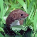 국립생태원동물병원 이미지