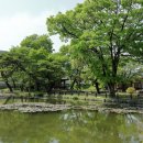 영주읍내리석불입상 이미지