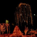 청송읍사무소 이미지