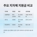 유방8통(인정2차) | 여성건강지원금 전문가가 알려주는 &#39;내 돈&#39; 안 들이고 20만원 받는 3가지 필수 체크리스트