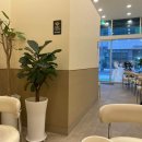 다인로얄팰리스배곧5차(배곧로얄팰리스5차) 이미지