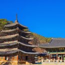 충청북도 보은군 보은읍 삼산로 4 이미지