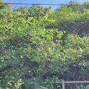 발산2리 경로당 이미지