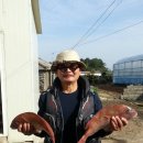 해넘이달렌탈하우스 이미지