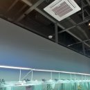 애견수족관 이미지