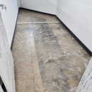 선 태권도장 이미지