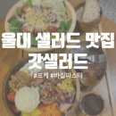 갓샐러드 | 울산 남구 무거동 갓샐러드 울대 샐러드 맛집 포케 맛집 내돈내산 방문 후기