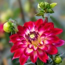 인스타그램 설치 및 활용법 이미지