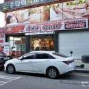 양재시민의숲역 참치 양재 초밥 맛집 옥언니참치초밥 푸짐한 참치한접시