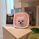 원헬스 동물의료센터 이미지