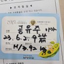 셀라어린이집 | 출산후 다이어트 (10kg감량) 크로스핏운동으로과 벨라잇으로!