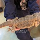 금산역사문화박물관 내부 이미지