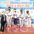 라이온스태권도 이미지