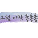 국수나무금천시흥
