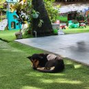 조아게임장 이미지