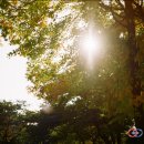 햇빛안경 이미지