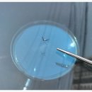 소촌로152번길R | 광주자동차유리복원 기아 K5 돌빵 용접 시공